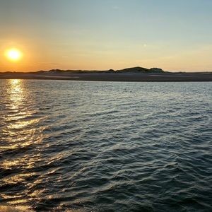 Meet your Posher, Aviva